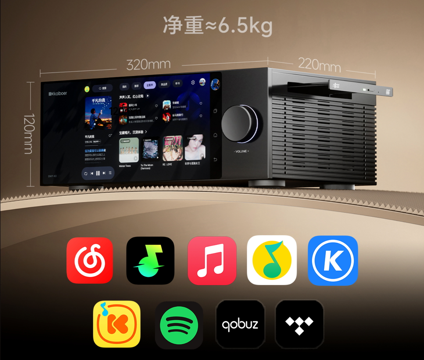 DMP-K812(1).png