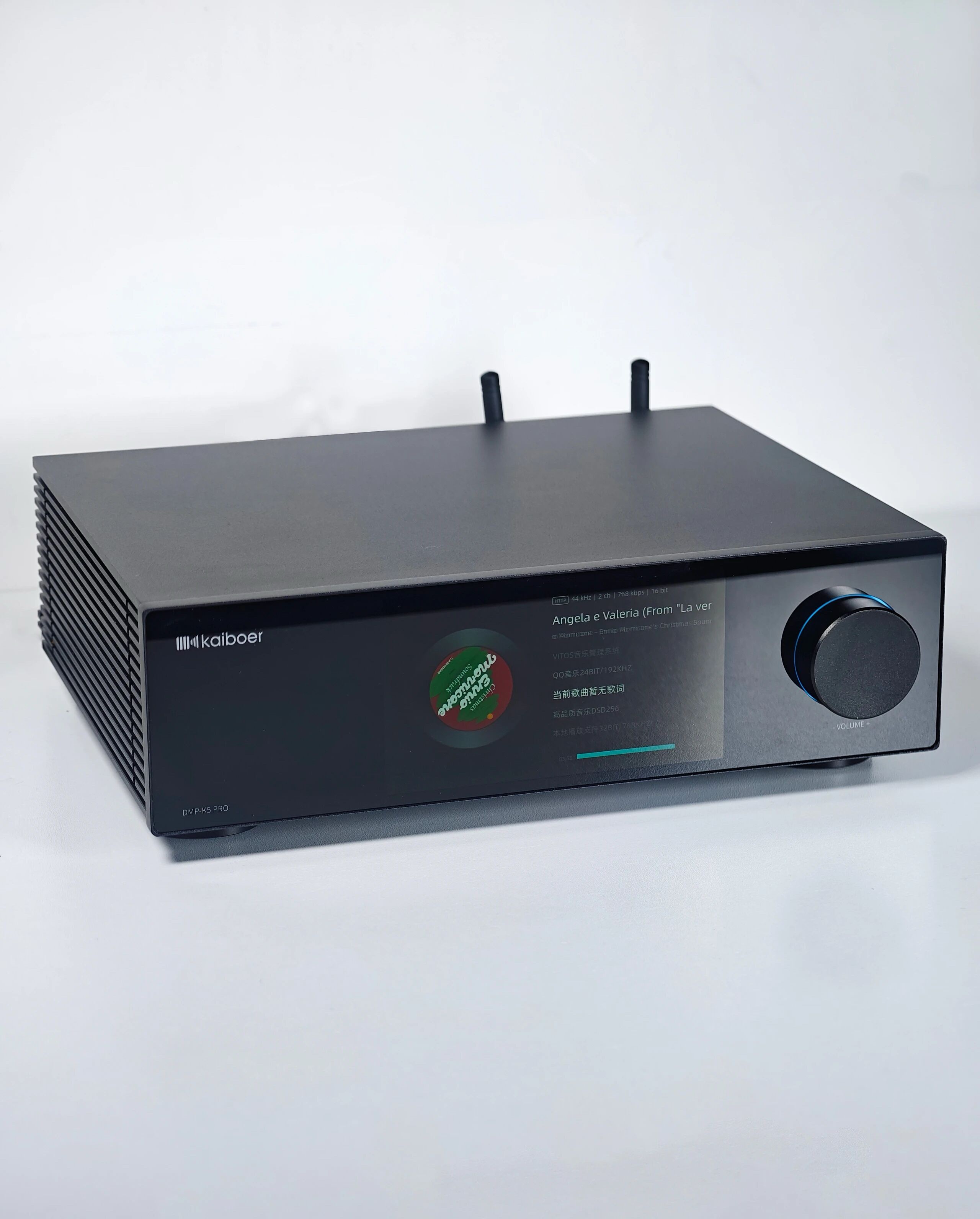 木耳猫 (2).jpg